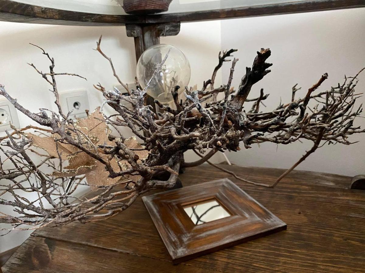 Studio Anastasia Sapareva Banya ภายนอก รูปภาพ