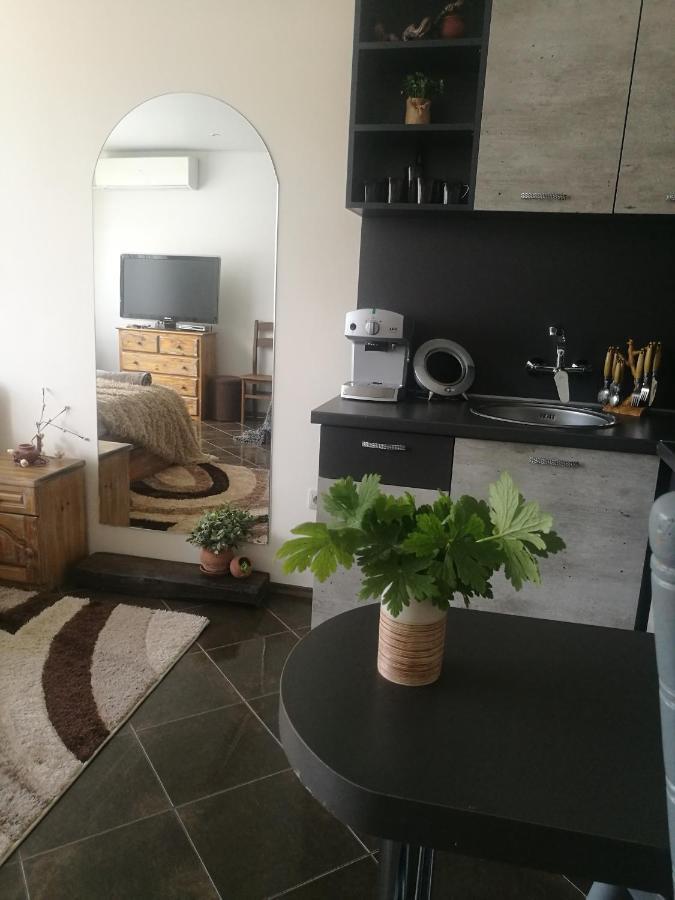 Studio Anastasia Sapareva Banya ภายนอก รูปภาพ