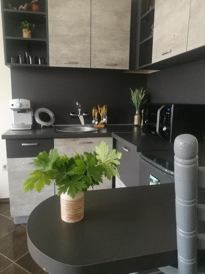 Studio Anastasia Sapareva Banya ภายนอก รูปภาพ